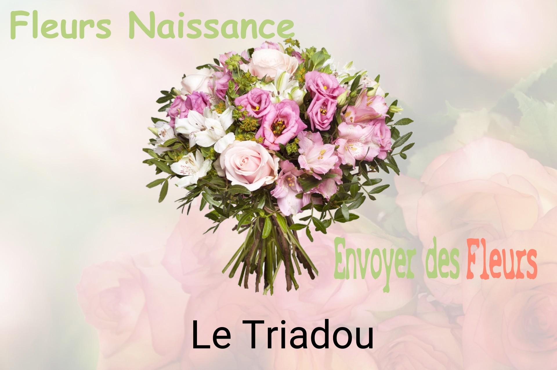 Bouquet de fleurs de naissance livré à Le Triadou