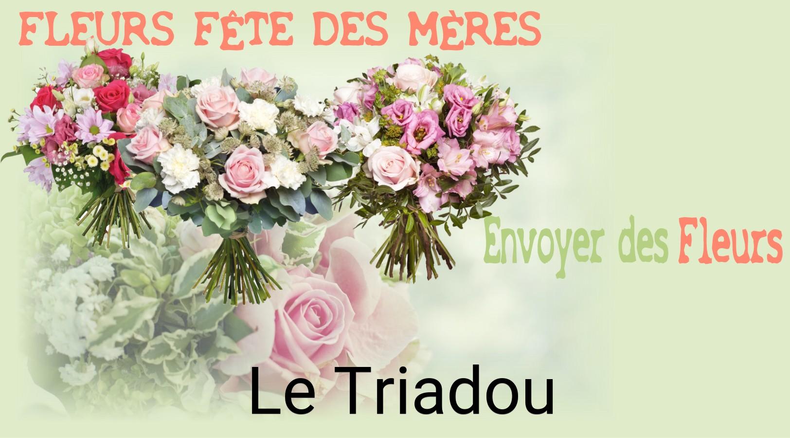 Bouquet de Fête des Mères livré à Le Triadou
